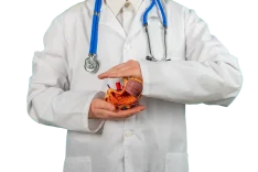 gastric sleeve