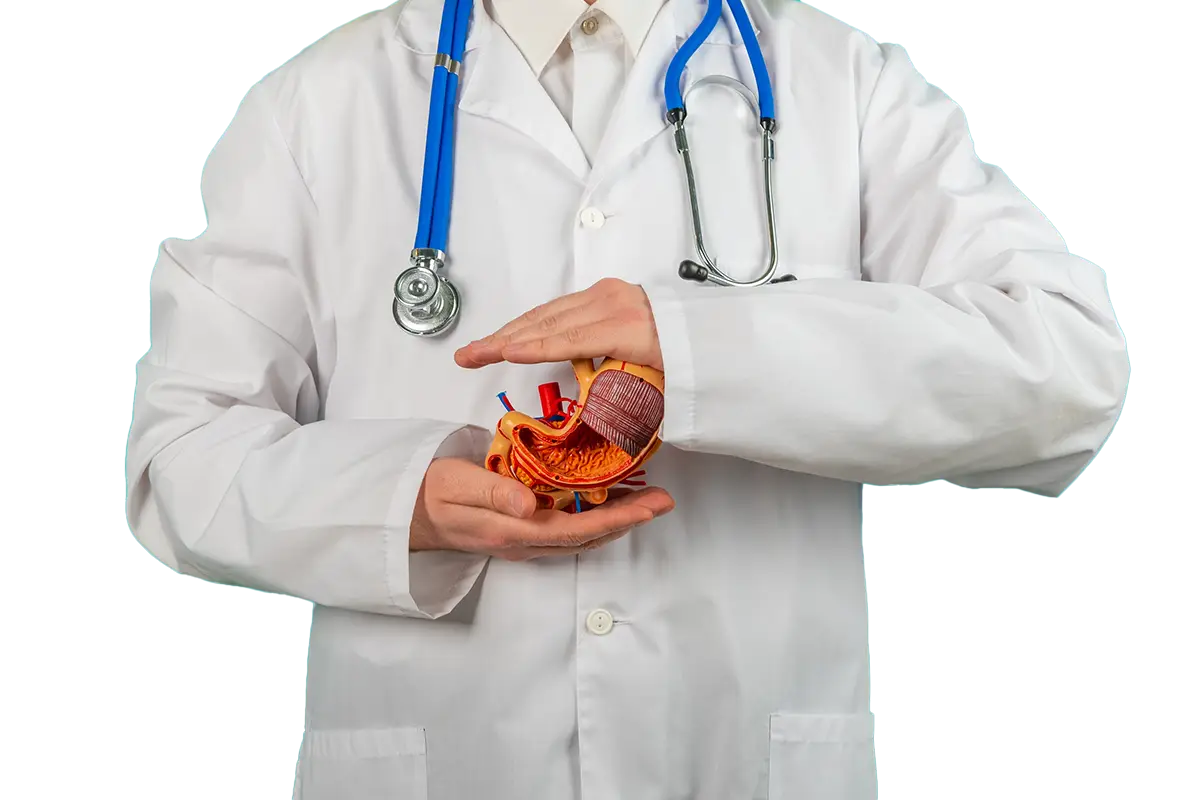 What Is Gastric Sleeve Surgery? (Basic Information About Sleeve Gastrectomy)