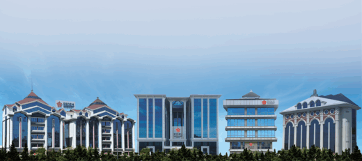 Erdem Hospital & Healthcare Group