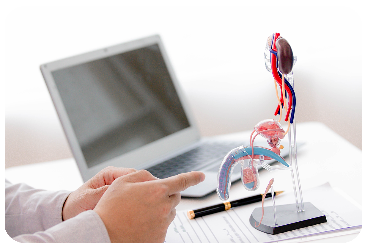 Penile Implants: A Comprehensive Guide