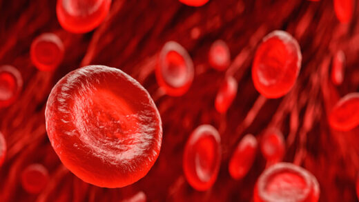 Structure and Functions of Blood 6 Structure and Functions of Blood