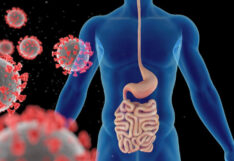 Why Digestive Infections Rise and How to Stay Protected