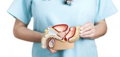 What’s Normal and How to Protect Testicular Health in Summer